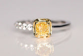 Fancy Yellow Diamonds Ring in 18K White Gold