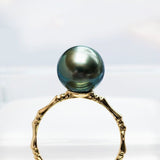 Tahitian Pearl Bamboo Ring in 18K Yellow Gold