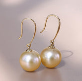 Huge 13mm South Sea Golden Pearl French Wire Earrings in 18K Gold