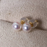 Luminous Akoya Pearl Studs in 18K Yellow Gold