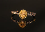 Fancy Yellow Diamonds Wedding Ring in 18K Yellow Gold