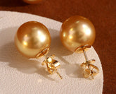 Huge 13mm Deep Gold South Sea Pearl Studs in 18K Yellow Gold