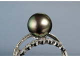 Tahitian Pearl 9mm & Diamond Ring in 18K White Gold