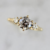 Dolce 1.3ct Salt & Pepper Round Brilliant Cut 18K Gold Wedding Ring