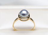8mm Silver-Grey Tone Akoya Pearl Pavé Ring in 18K Yellow Gold