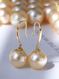 Huge 13mm South Sea Golden Pearl French Wire Earrings in 18K Gold
